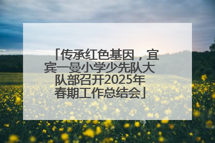 传承红色基因，宜宾一曼小学少先队大队部召开2025年春期工作总结会