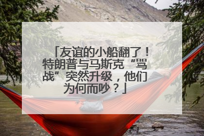 友谊的小船翻了！特朗普与马斯克“骂战”突然升级，他们为何而吵？