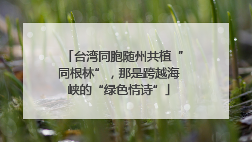 台湾同胞随州共植“同根林”，那是跨越海峡的“绿色情诗”