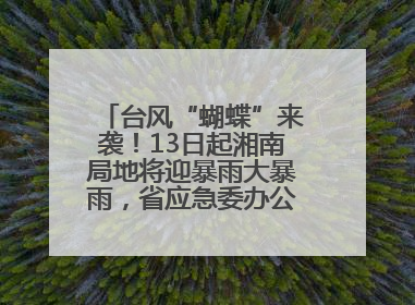台风“蝴蝶”来袭！13日起湘南局地将迎暴雨大暴雨，省应急委办公室发布汛情提醒