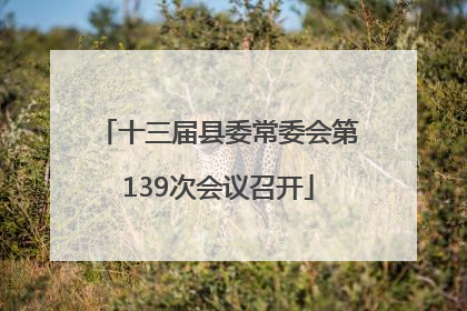 十三届县委常委会第139次会议召开