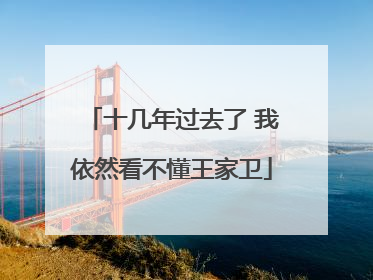 十几年过去了 我依然看不懂王家卫