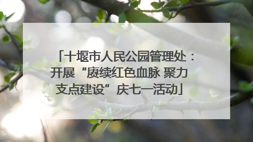 十堰市人民公园管理处：开展“赓续红色血脉 聚力支点建设”庆七一活动