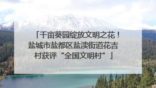 千亩葵园绽放文明之花！盐城市盐都区盐渎街道花吉村获评“全国文明村”