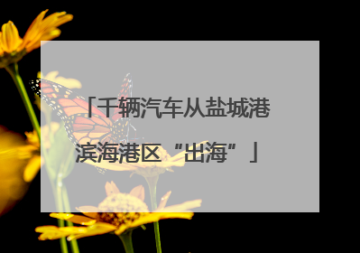 千辆汽车从盐城港滨海港区“出海”