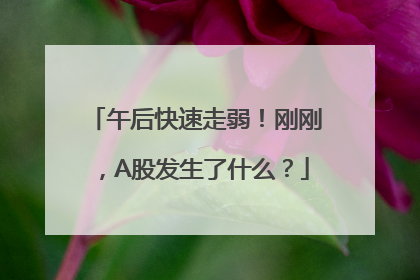 午后快速走弱！刚刚，A股发生了什么？
