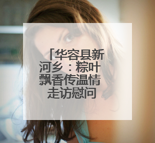 华容县新河乡：粽叶飘香传温情 走访慰问暖人心