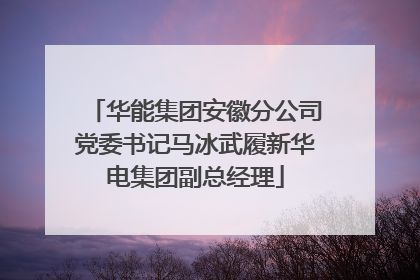 华能集团安徽分公司党委书记马冰武履新华电集团副总经理