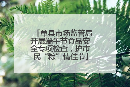 单县市场监管局开展端午节食品安全专项检查，护市民“粽”情佳节