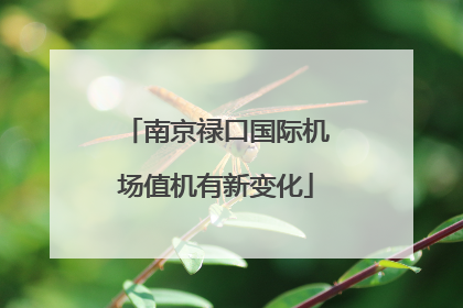 南京禄口国际机场值机有新变化