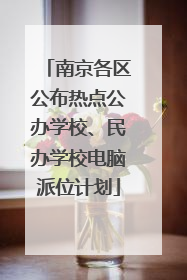 南京各区公布热点公办学校、民办学校电脑派位计划