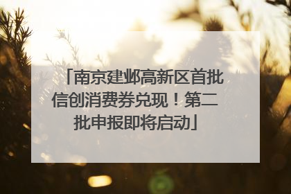 南京建邺高新区首批信创消费券兑现！第二批申报即将启动