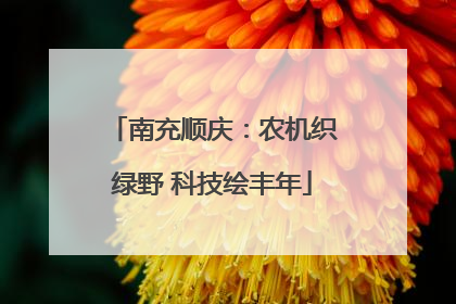 南充顺庆：农机织绿野 科技绘丰年