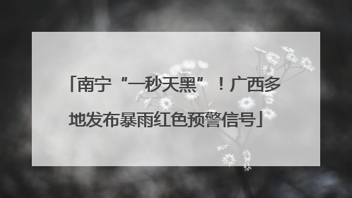 南宁“一秒天黑”！广西多地发布暴雨红色预警信号