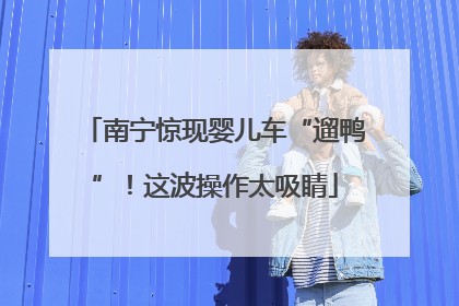 南宁惊现婴儿车“遛鸭”！这波操作太吸睛