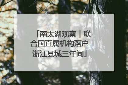 南太湖观察｜联合国直属机构落户浙江县城三年间
