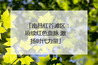 南昌红谷滩区：赓续红色血脉 激扬时代力量
