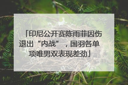 印尼公开赛陈雨菲因伤退出“内战”，国羽各单项唯男双表现差劲