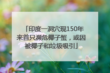 印度一洞穴现150年来首只濒危椰子蟹，或因被椰子和垃圾吸引