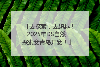 去探索，去超越！2025年DS自然探索赛青岛开赛！