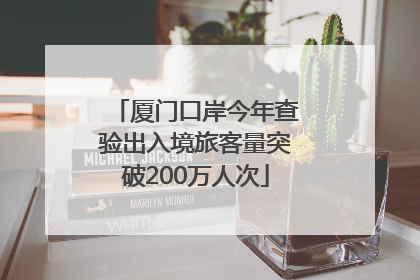 厦门口岸今年查验出入境旅客量突破200万人次
