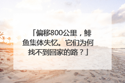 偏移800公里，鲱鱼集体失忆。它们为何找不到回家的路？