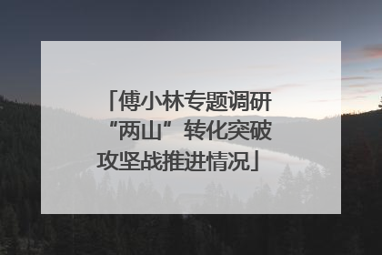 傅小林专题调研“两山”转化突破攻坚战推进情况