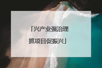 兴产业强治理 抓项目促振兴