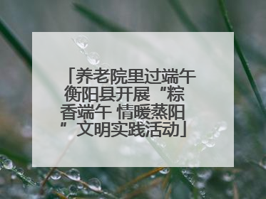 养老院里过端午 衡阳县开展“粽香端午 情暖蒸阳”文明实践活动