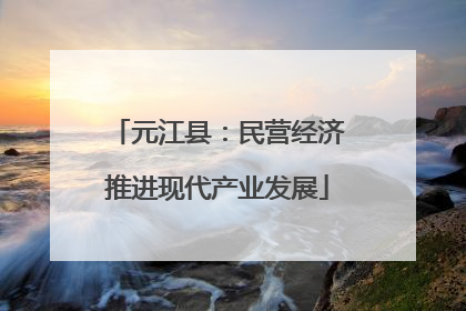 元江县：民营经济推进现代产业发展