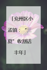 兖州区小孟镇：“三夏”收割话丰年
