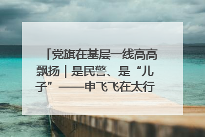 党旗在基层一线高高飘扬｜是民警、是“儿子”——申飞飞在太行山中的一线坚守