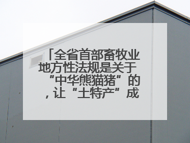全省首部畜牧业地方性法规是关于“中华熊猫猪”的，让“土特产”成为“新国潮”，让“农产品”升格为“城市IP”