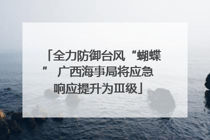 全力防御台风“蝴蝶” 广西海事局将应急响应提升为Ⅲ级
