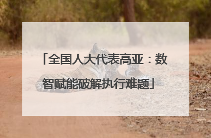 全国人大代表高亚：数智赋能破解执行难题