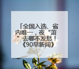 全国入选、省内唯一，夜“萧”去哪不发愁！《90早新闻》来了