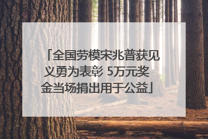 全国劳模宋兆普获见义勇为表彰 5万元奖金当场捐出用于公益