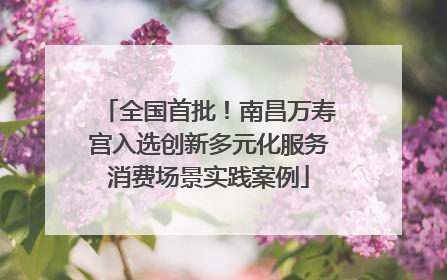 全国首批！南昌万寿宫入选创新多元化服务消费场景实践案例