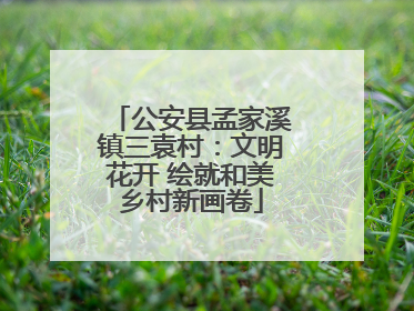 公安县孟家溪镇三袁村：文明花开 绘就和美乡村新画卷