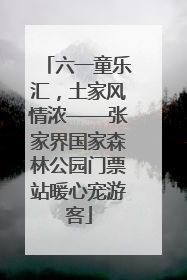 六一童乐汇，土家风情浓——张家界国家森林公园门票站暖心宠游客