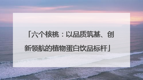 六个核桃：以品质筑基、创新领航的植物蛋白饮品标杆