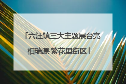 六汪镇三大主题展台亮相瑞源·繁花里街区