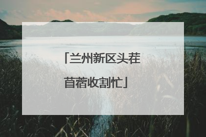 兰州新区头茬苜蓿收割忙