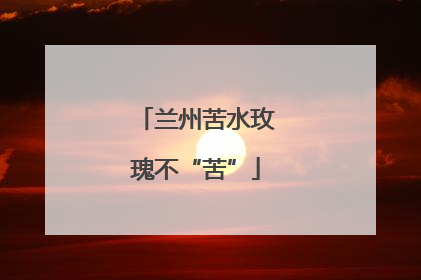 兰州苦水玫瑰不“苦”