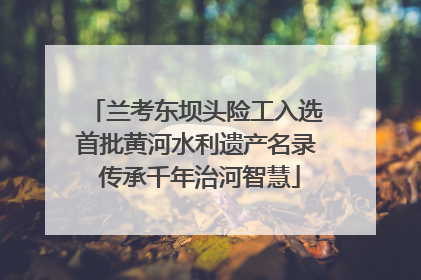 兰考东坝头险工入选首批黄河水利遗产名录 传承千年治河智慧