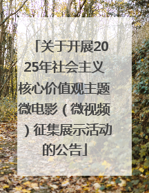 关于开展2025年社会主义核心价值观主题微电影（微视频）征集展示活动的公告