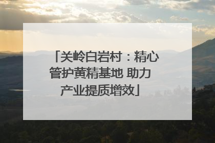 关岭白岩村：精心管护黄精基地 助力产业提质增效