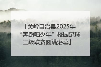 关岭自治县2025年“奔跑吧少年”校园足球三级联赛圆满落幕