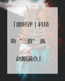 冀时评｜科技助“三夏” 燕赵粮满仓