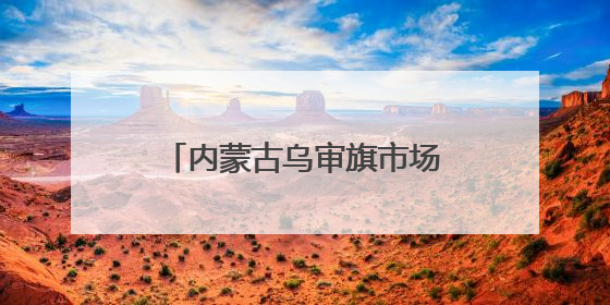 内蒙古乌审旗市场监管局联动共同开展肉制品专项检查